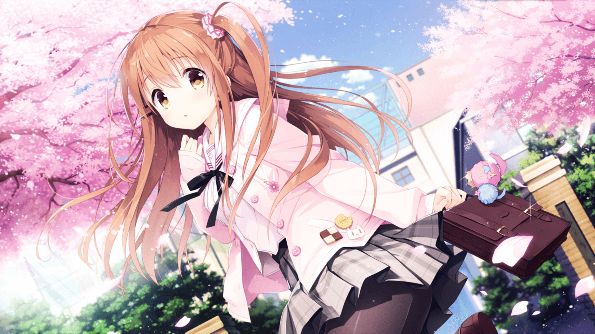 The cover picture of the next content